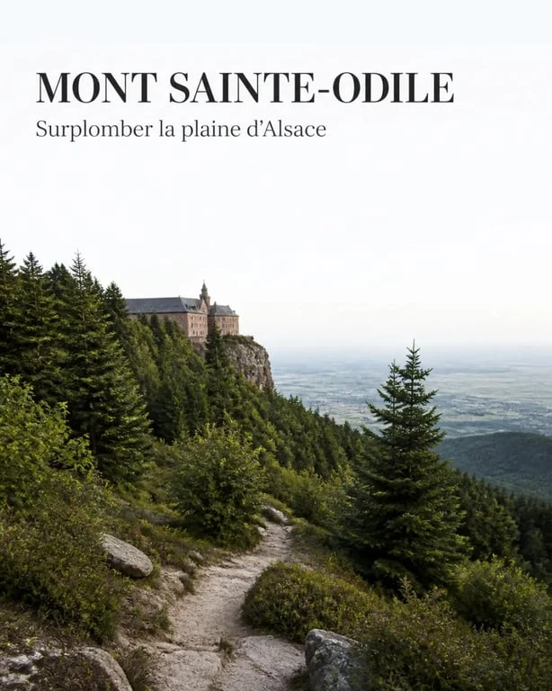 Que faire autour de Strasbourg : panorama au Mont Sainte-Odile et forêt vosgienne