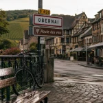 Que faire autour Strasbourg : vélo près du vignoble d’Obernai, route des vins
