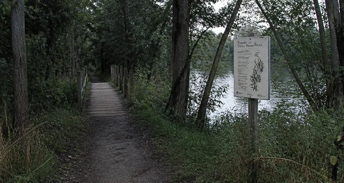 Balade le long du rhin strasbourg : passerelle et sentier au Jardin Deux-Rives
