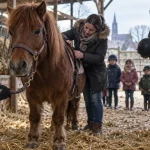Balade poney Strasbourg : enfant à la longe avec poney en écurie