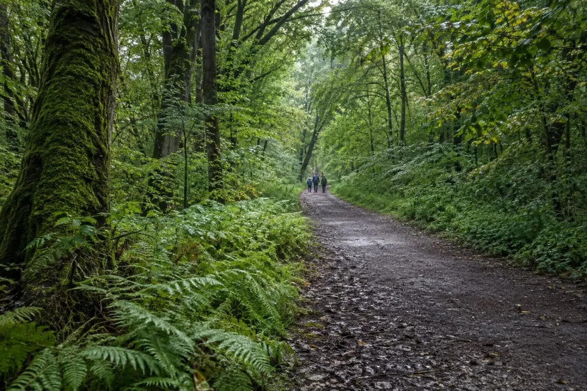 Guide balade nature Strasbourg : sentier familial de la Faisandrie à Illkirch