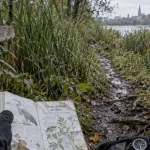 Guide balade nature Strasbourg : sentier sur l’île du Rohrschollen