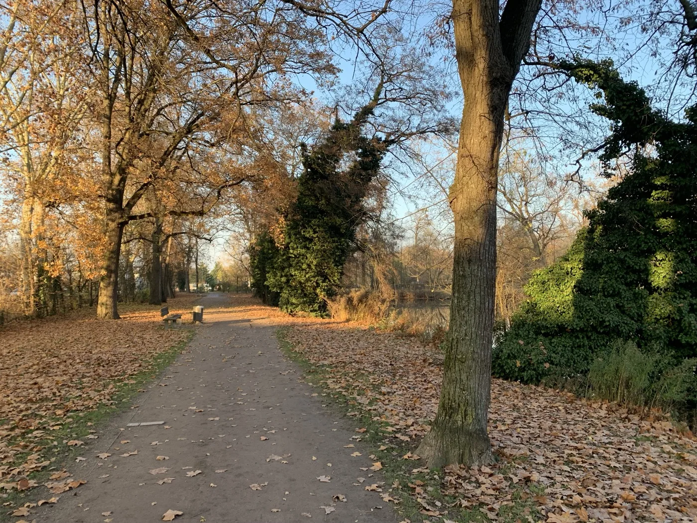 Le parc Schulmeister dans la Meinau, pour prolonger la promenade ; cette photographie montre le parc, hors du marché.