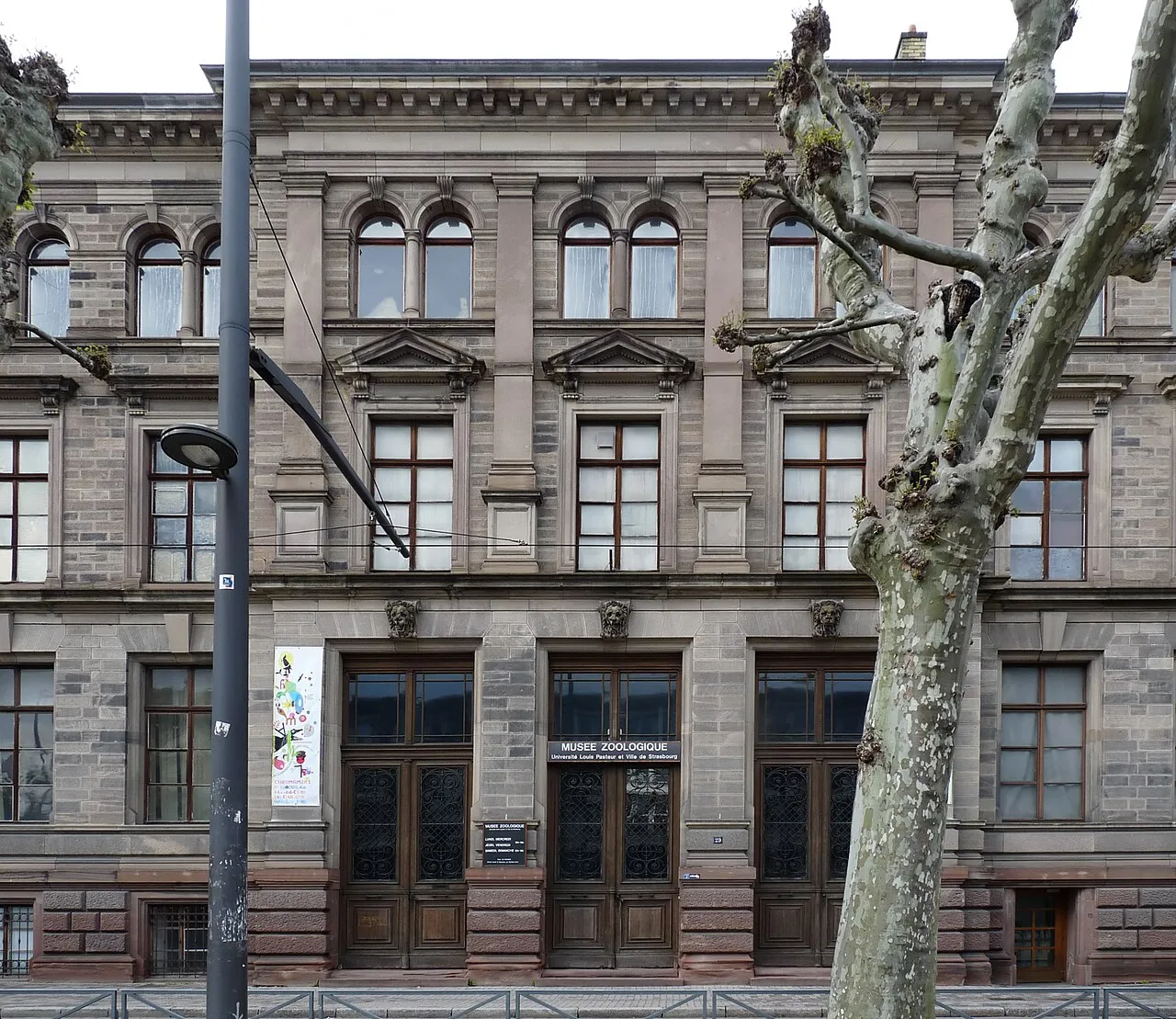 Le bâtiment du Musée zoologique à Strasbourg.