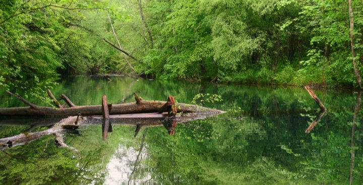 Eau et arbres au parc de Pourtalès à Strasbourg