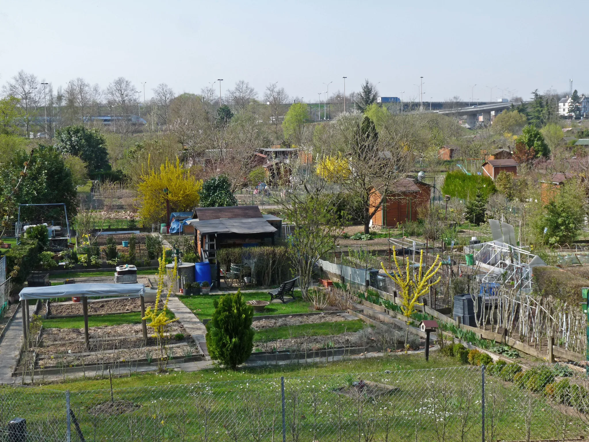 Les jardins ouvriers de Schiltigheim, près de l’A35, en mars 2011. Vue de la commune.